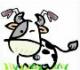 L'avatar di stefano6310