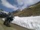 L'avatar di Lonesome rider