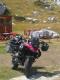 L'avatar di francio